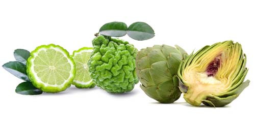 Wątroba Hepa Forte Dr Jacobs   Bergamotka i Karczoch